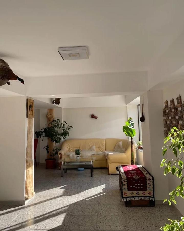 Casa De Vacanta Clara Maria Комарник Экстерьер фото